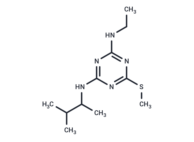 Dimethametryn (Standard)