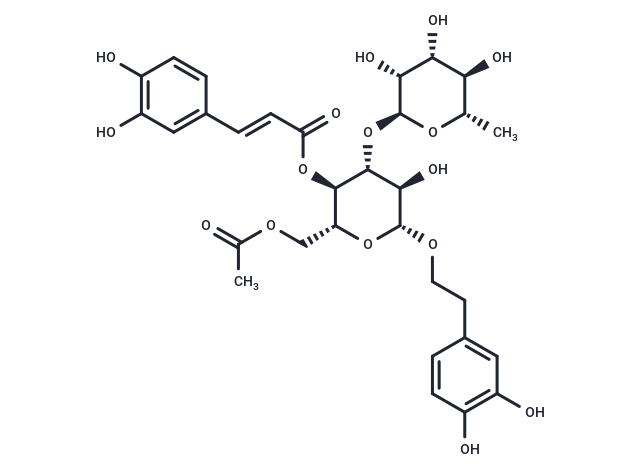 Acetylacteoside (Standard)