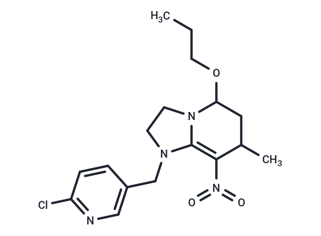 Paichongding (Standard)