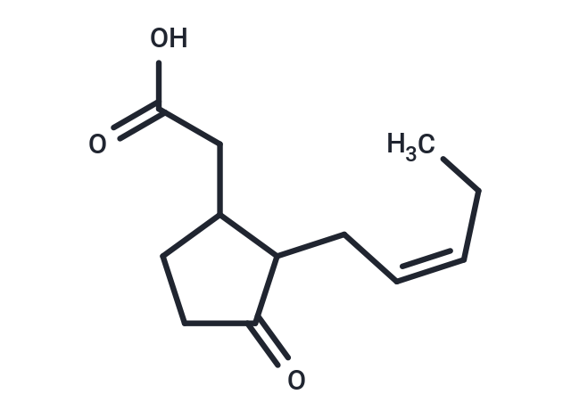Jasmonic Acid (mixture of isomers) (Standard)