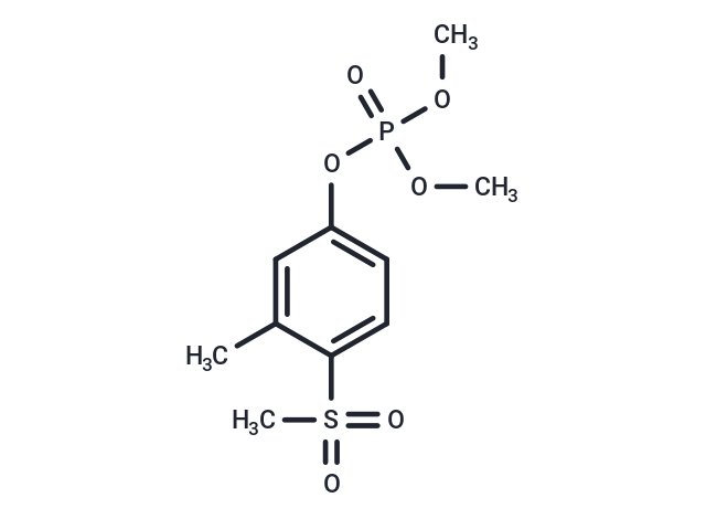 Fenthion-oxon-sulfone (Standard)