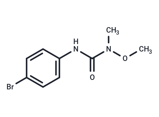 Metobromuron (Standard)