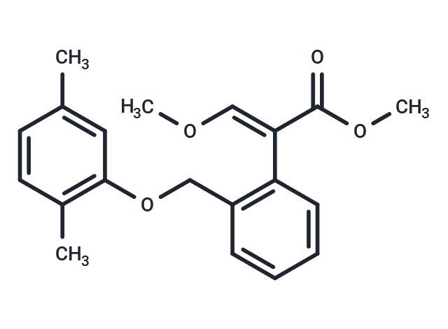 Benmijunzhi (Standard)