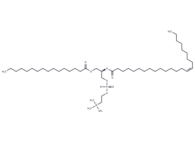 PC 16:0-24:1 (PC5 aa C40:1) (Standard)