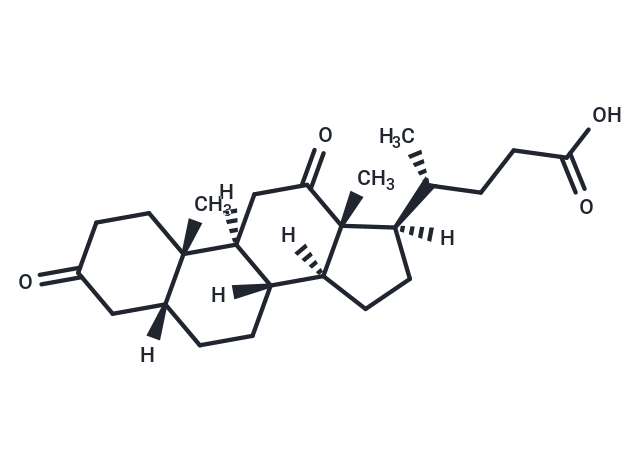 Dehydrodeoxycholic Acid (Standard)