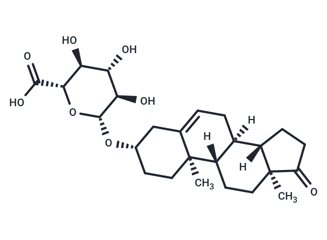 Dehydroepiandrosterone Glucuronide (Standard)