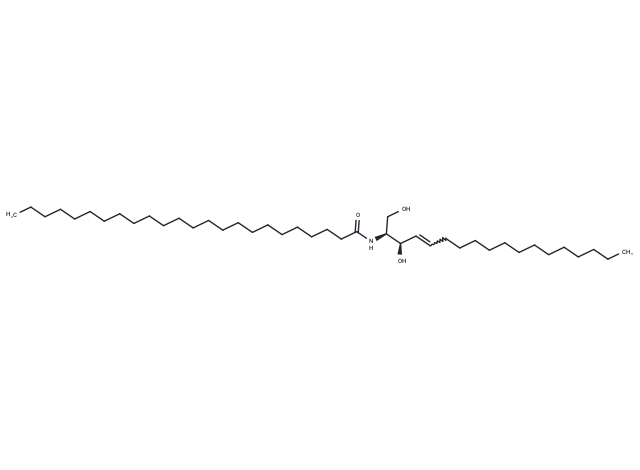 C24 Ceramide (d18:1/24:0) (Standard)