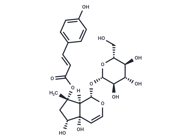 8-p-Coumaroyl-harpagide (Standard)