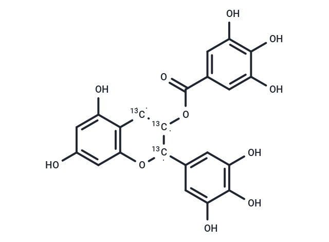 (+/-)-Epigallocatechin-[13C3] Gallate (Standard)