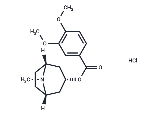 Convolamine hydrochloride