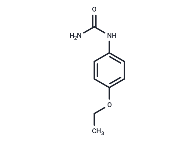 (4-Ethoxyphenyl)urea