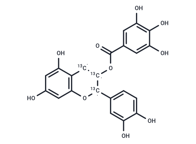 (+/-)-Epicatechin-[13C3] Gallate (Standard)
