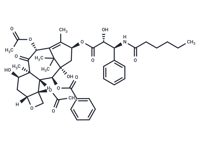 7-Epi-Taxol C