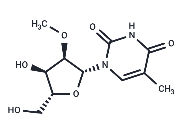 2'-O-Methyl-5-methyl uridine