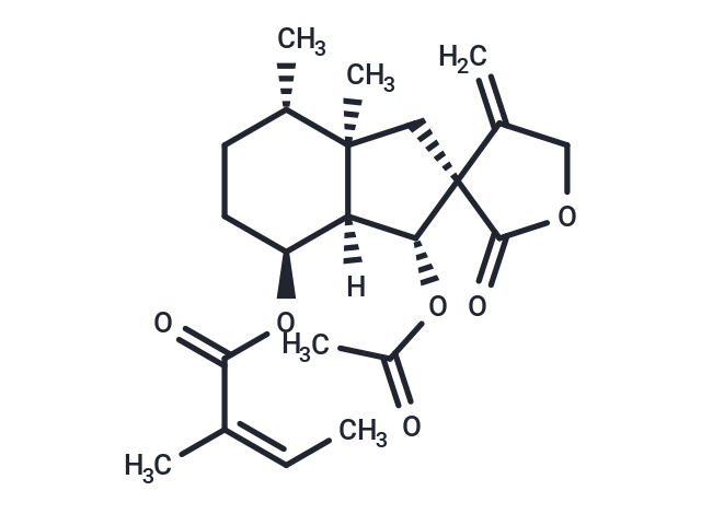 Bakkenolide B