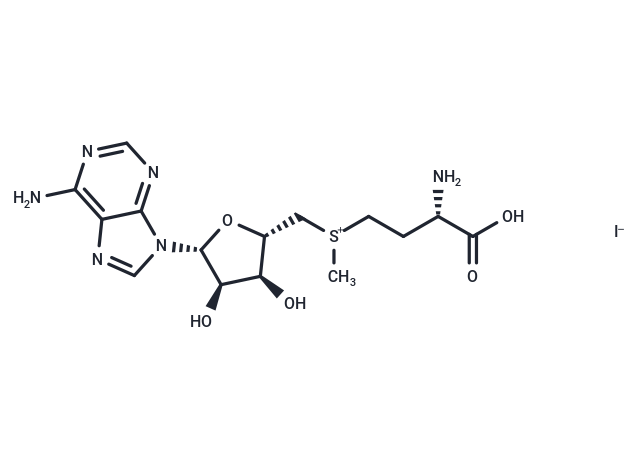 S-Adenosyl-L-methionine iodide
