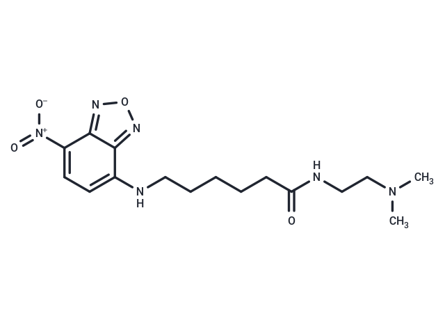 LysoTracker Yellow HCK 123