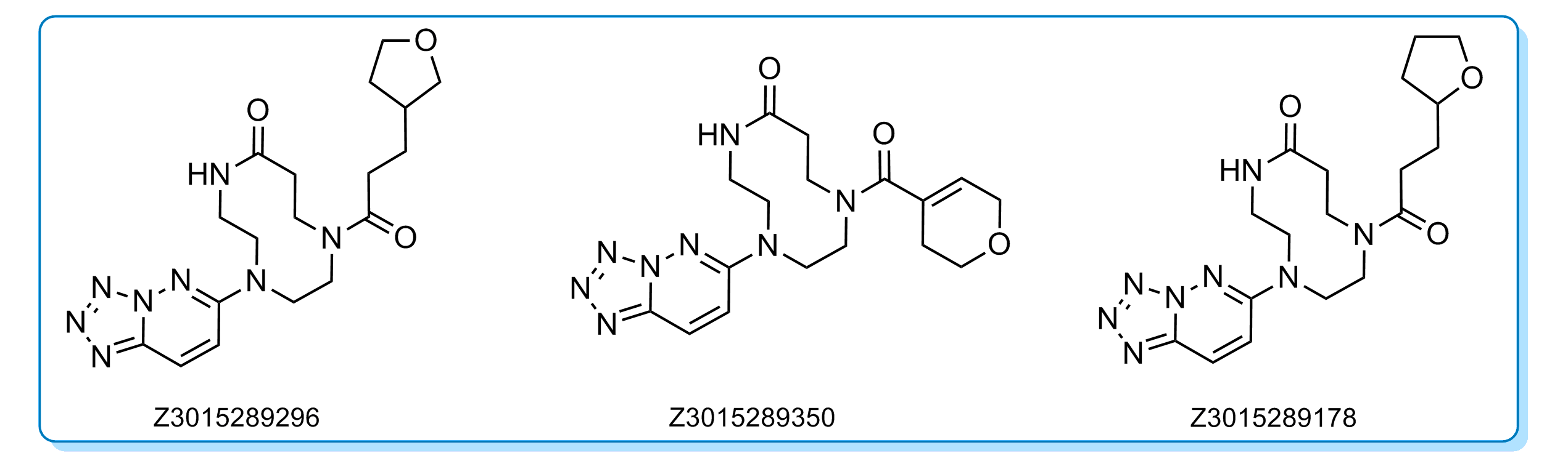  Discovery Diversity Set2 From Enamine
