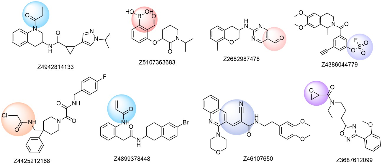  Covalent Screening Library From Enamine