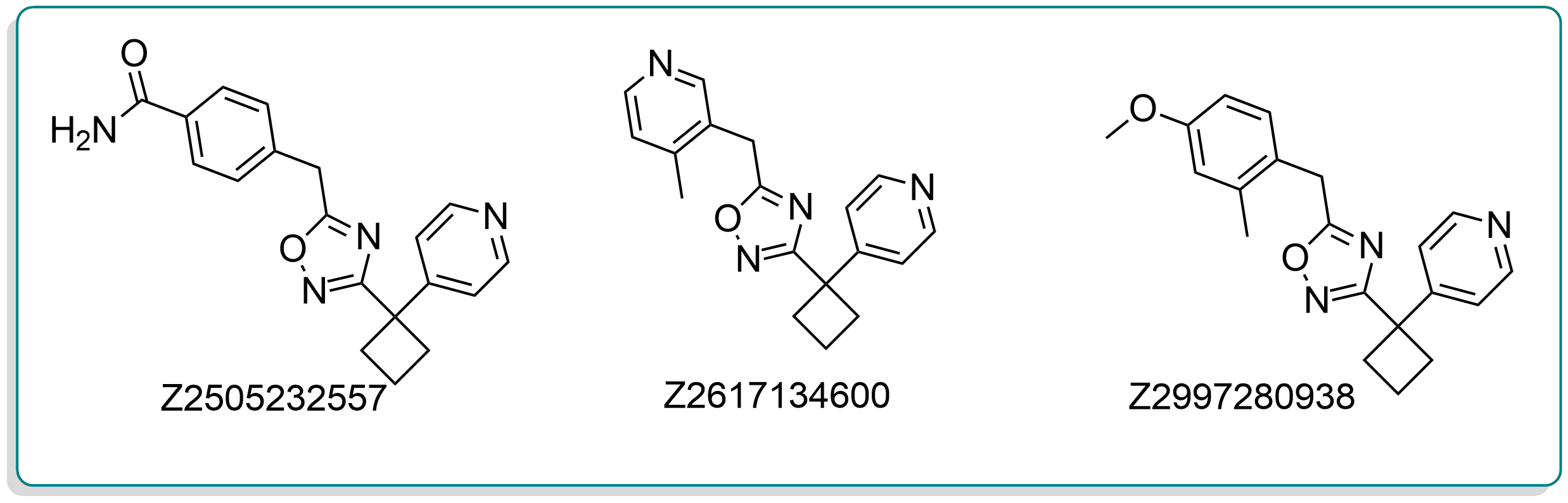  Hit Locator Library From Enamine