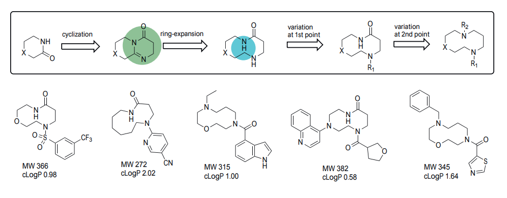  EN Macrocycles