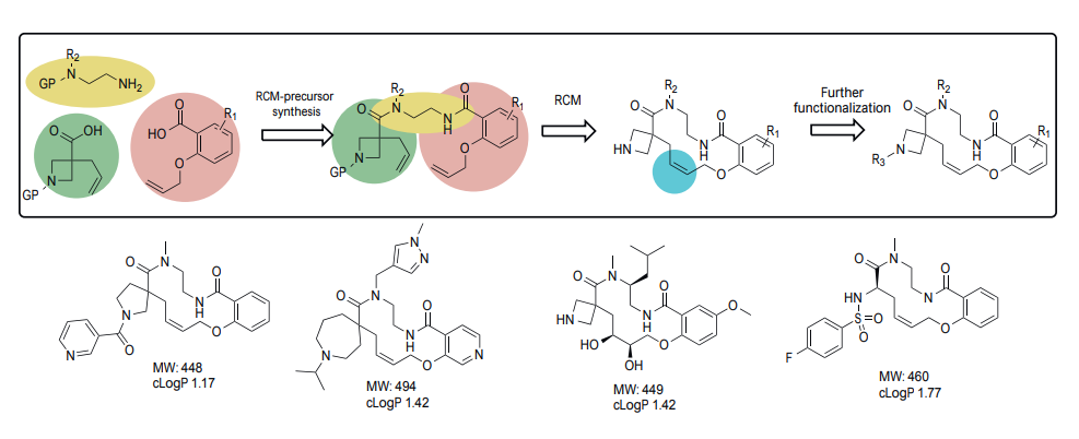  EN Macrocycles
