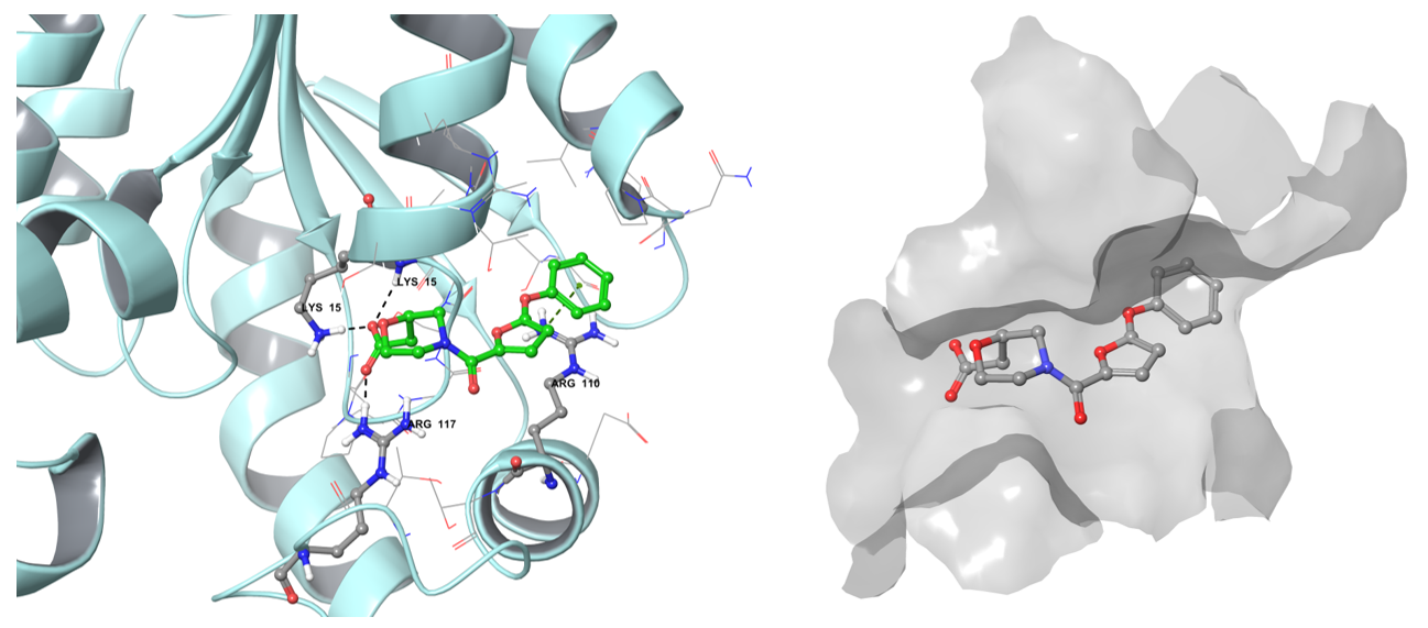  Antituberculosis Library