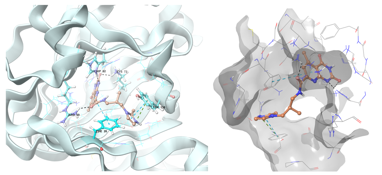  Antituberculosis Library