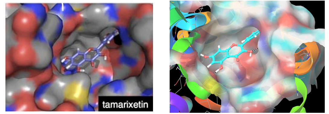  Aquaporins Library From Enamine