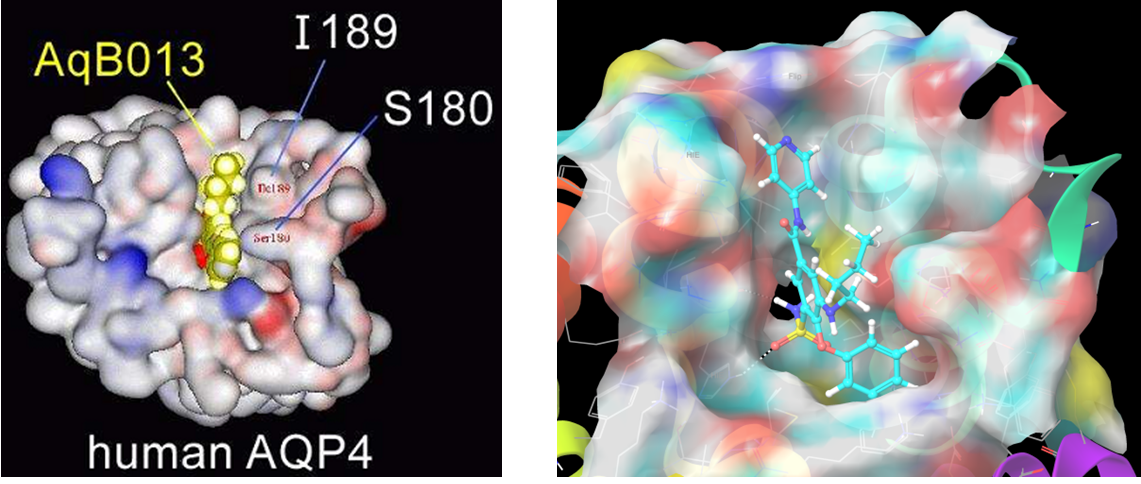  Aquaporins Library From Enamine