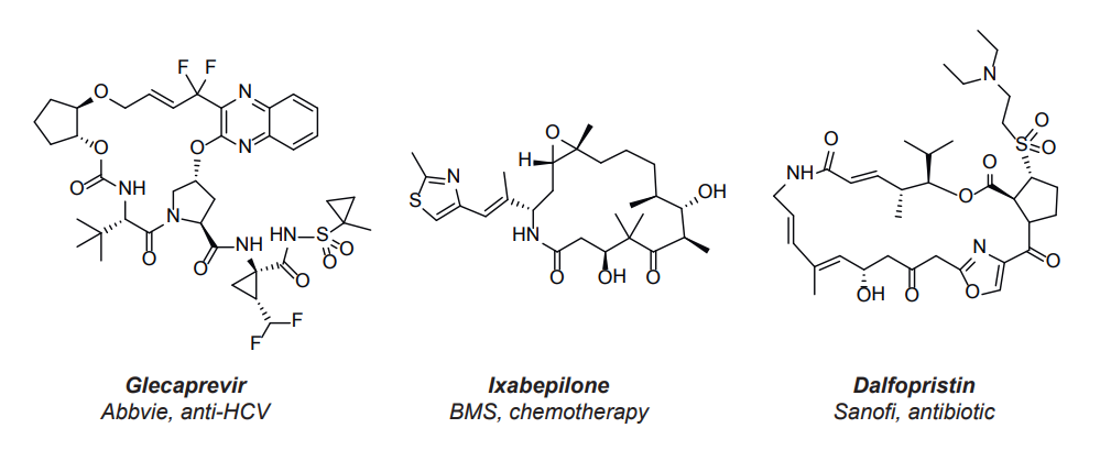  EN Macrocycles
