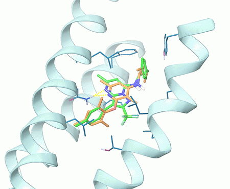  Allosteric GPCR Library From Enamine