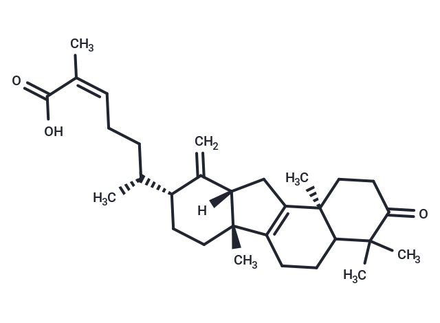 Neokadsuranic acid B