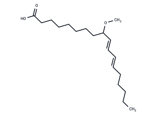 (10E,12E)-9-methoxyoctadeca-10,12-dienoic acid