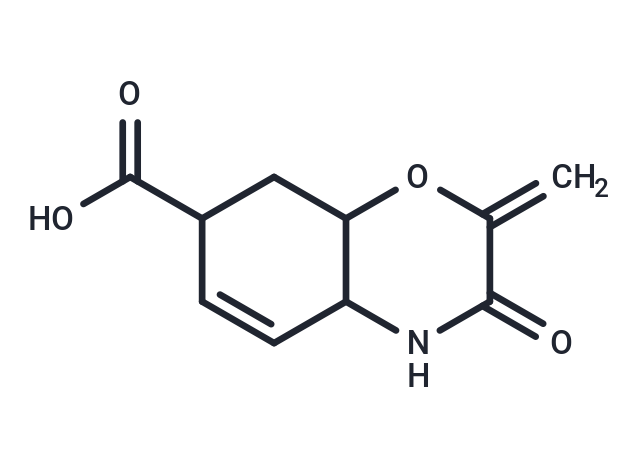 2-methylidene-3-oxo-3,4,4a,7,8,8a-hexahydro-2H-1,4-benzoxazine-7-carboxylic acid