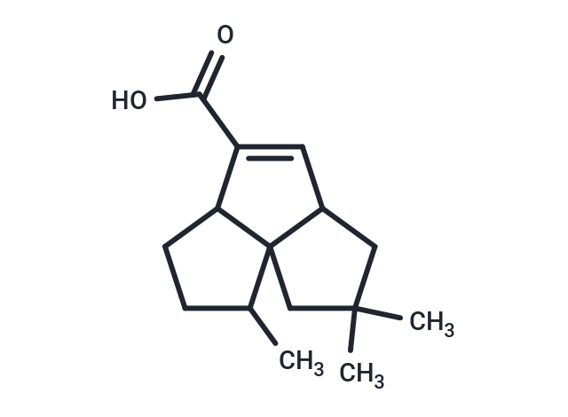 2,10,10-trimethyltricyclo[6.3.0.0^{1,5}]undec-6-ene-6-carboxylic acid