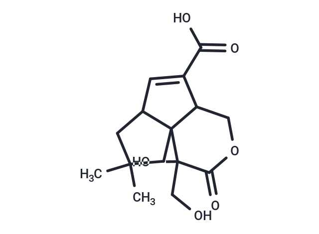 12-hydroxy-12-(hydroxymethyl)-3,3-dimethyl-11-oxo-10-oxatricyclo[6.4.0.0^{1,5}]dodec-6-ene-7-carboxylic acid