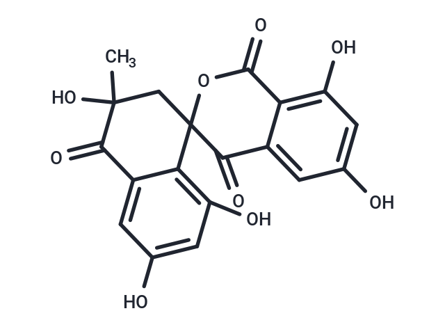 3',6,6',8,8'-pentahydroxy-3'-methyl-1,3',4,4'-tetrahydro-2'H-spiro[2-benzopyran-3,1'-naphthalene]-1,4,4'-trione