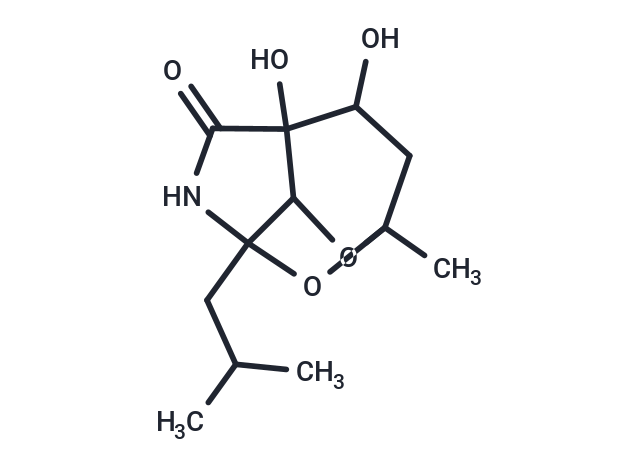 3,4-dihydroxy-1-methyl-7-(2-methylpropyl)-9,10-dioxa-6-azatricyclo[5.2.1.0^{4,8}]decan-5-one