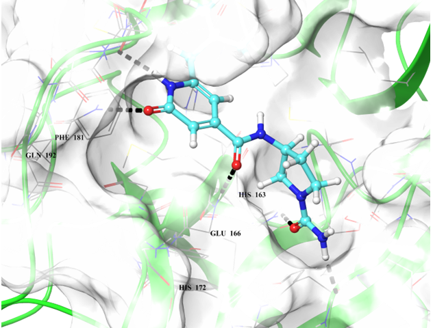 EN Coronavirus Library