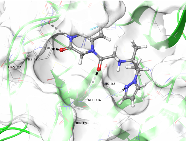  EN Coronavirus Library