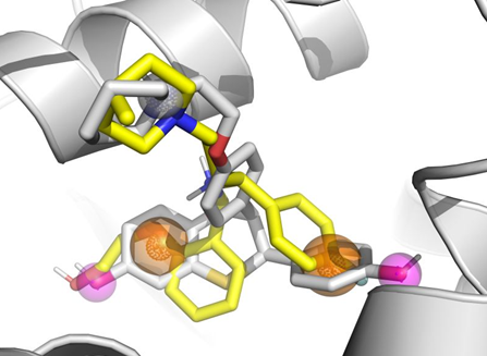  Estrogen Receptor Library