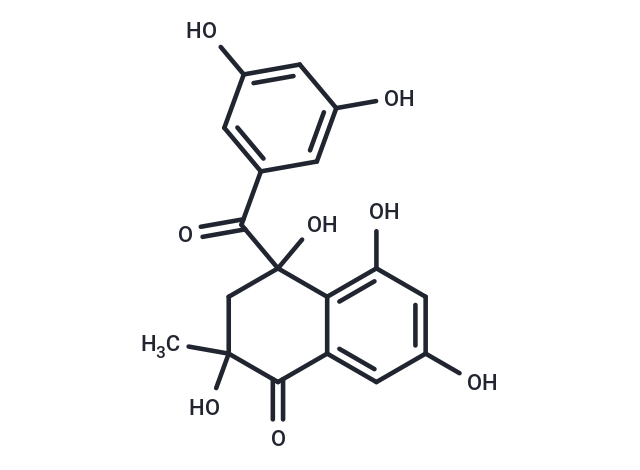 4-(3,5-dihydroxybenzoyl)-2,4,5,7-tetrahydroxy-2-methyl-1,2,3,4-tetrahydronaphthalen-1-one