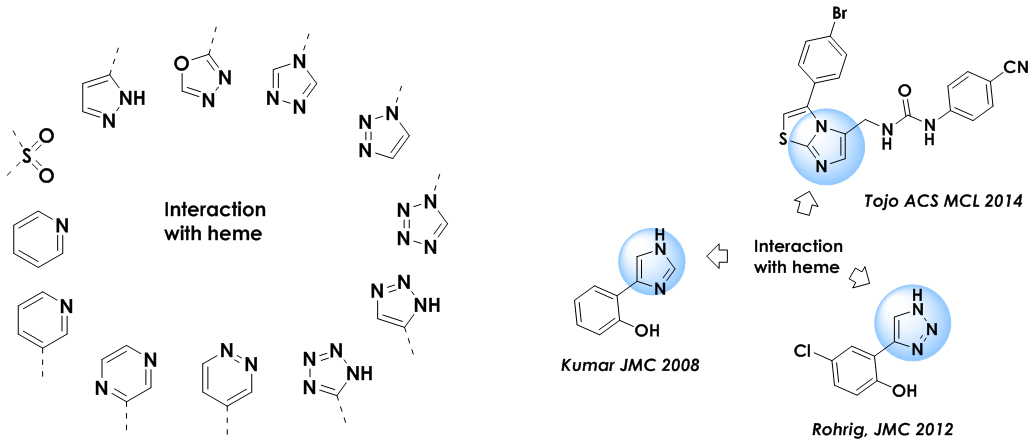  IDO Targeted Library From Enamine