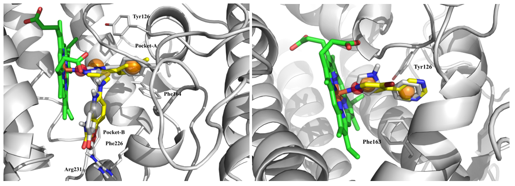  Kynurenine Pathway Library From Enamine
