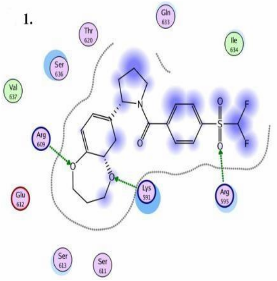  JAK/STAT pathway modulators From Enamine