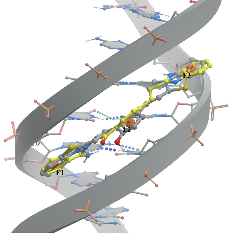  DNA Library From Enamine