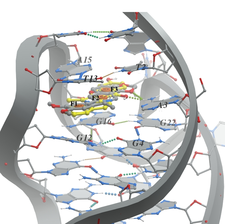  DNA Library From Enamine
