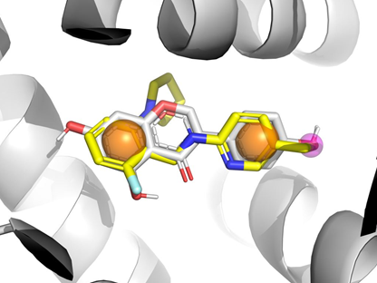  Estrogen Receptor Library