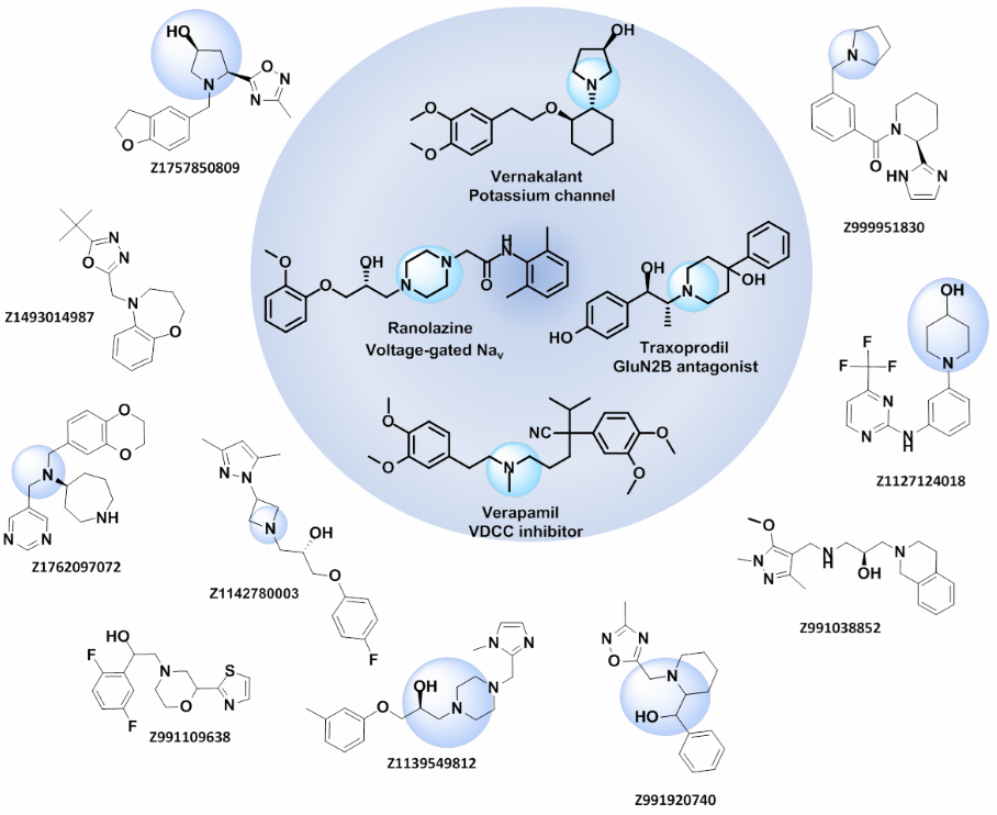  EN Ion Channel Library From Enamine